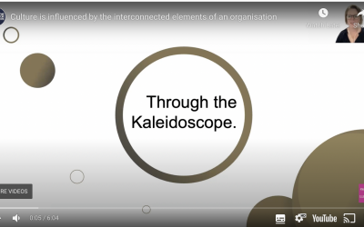 Twigagroup Kaleidoscope Model video, Purpose, Operating model, Organisation Design, Roles Responsibilities, People, skills