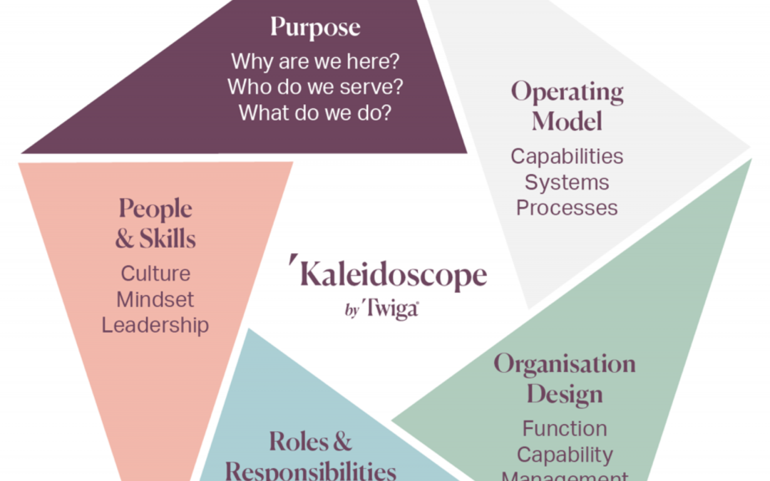 Strengthen your organisation by ‘looking through a Kaleidoscope’