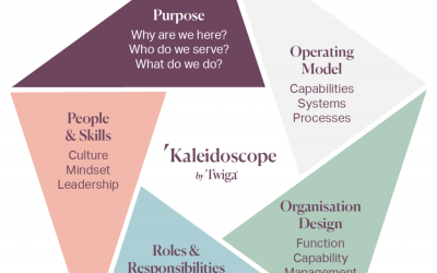 Twigagroup Kaleidoscope Model, Purpose, Operating model, Organisation Design, Roles Responsibilities, People, skills